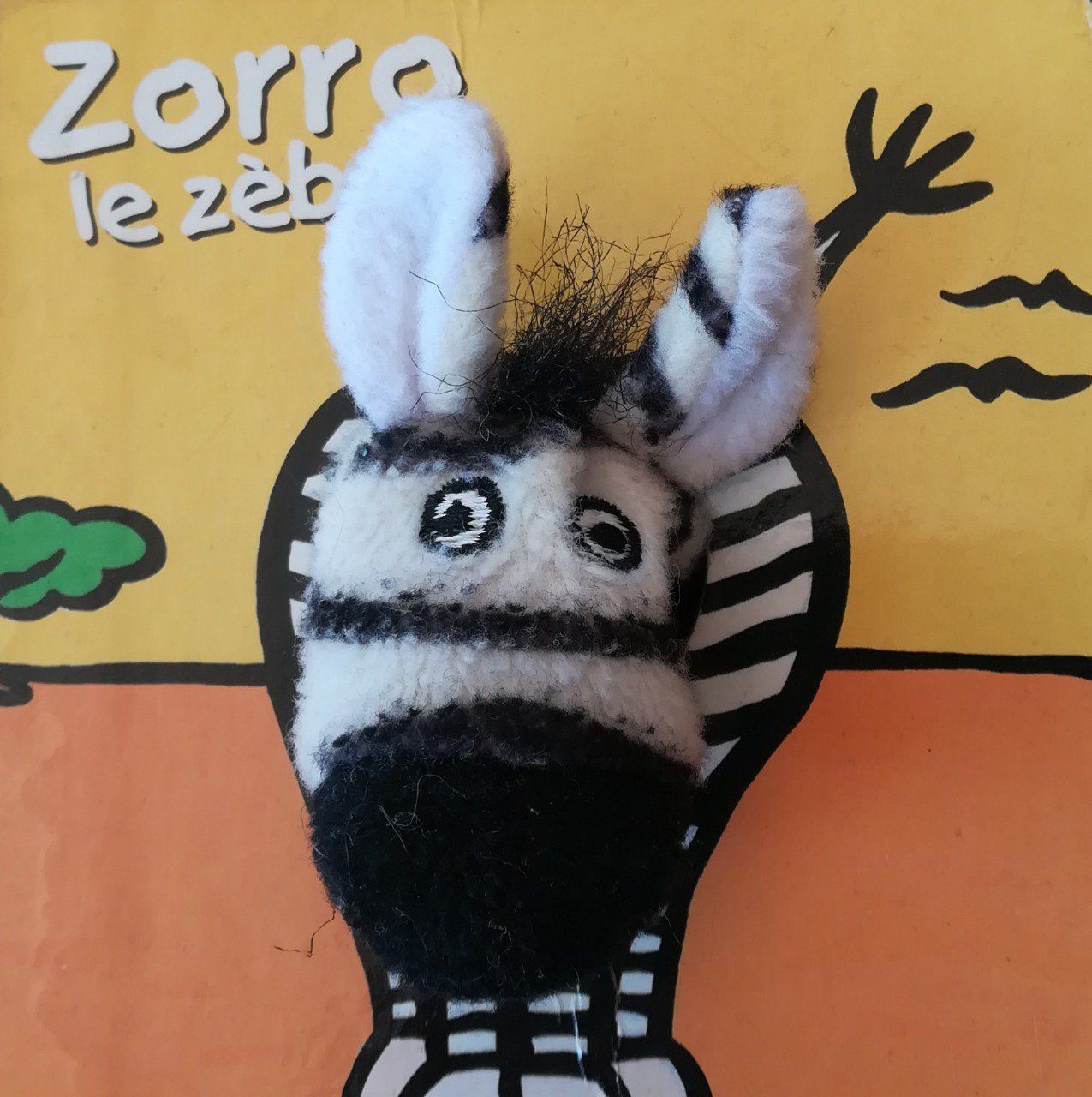 Zorro le zèbre - Click to enlarge picture.