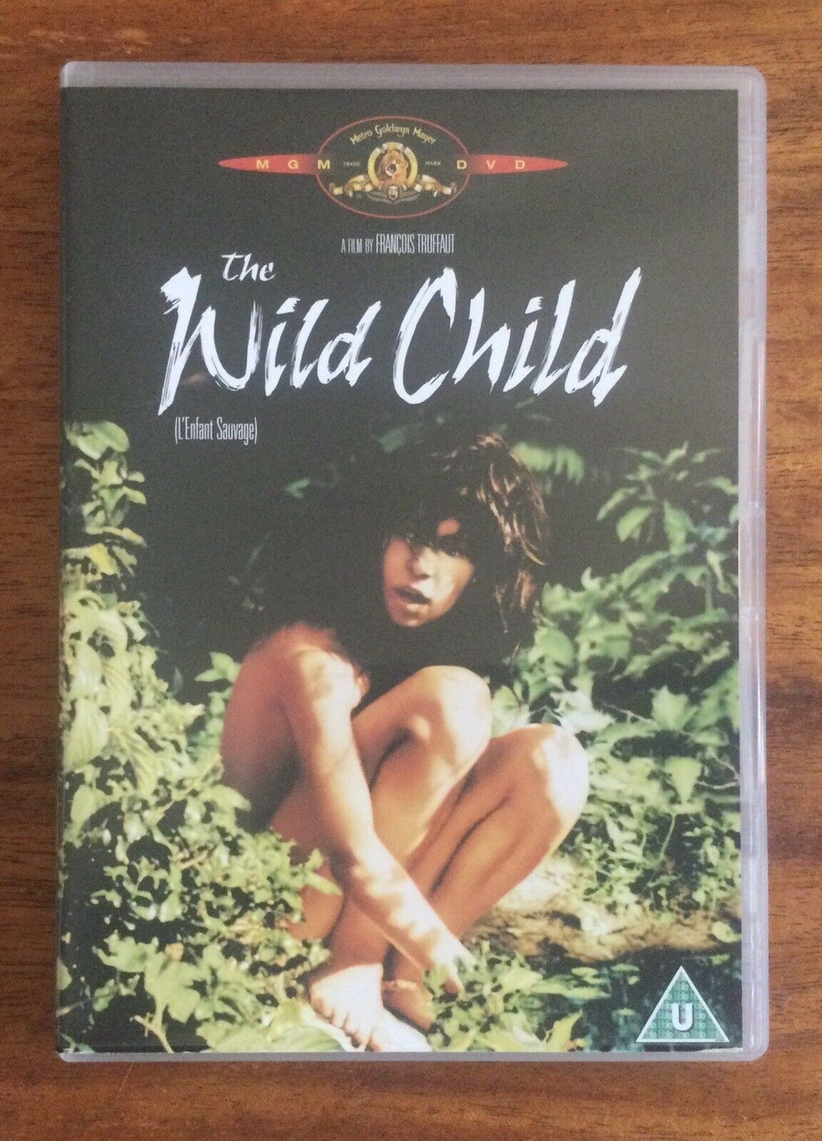 L'enfant sauvage - Click to enlarge picture.