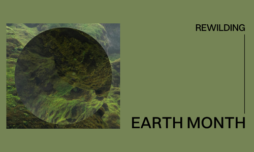 Mapping Urban Biodiversity with Emma Sandhu